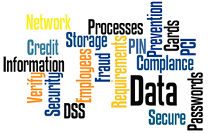 graphic-pci-dss-policy-example